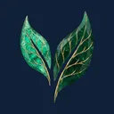 Emerald Emerald app icon