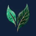 Emerald Emerald app icon